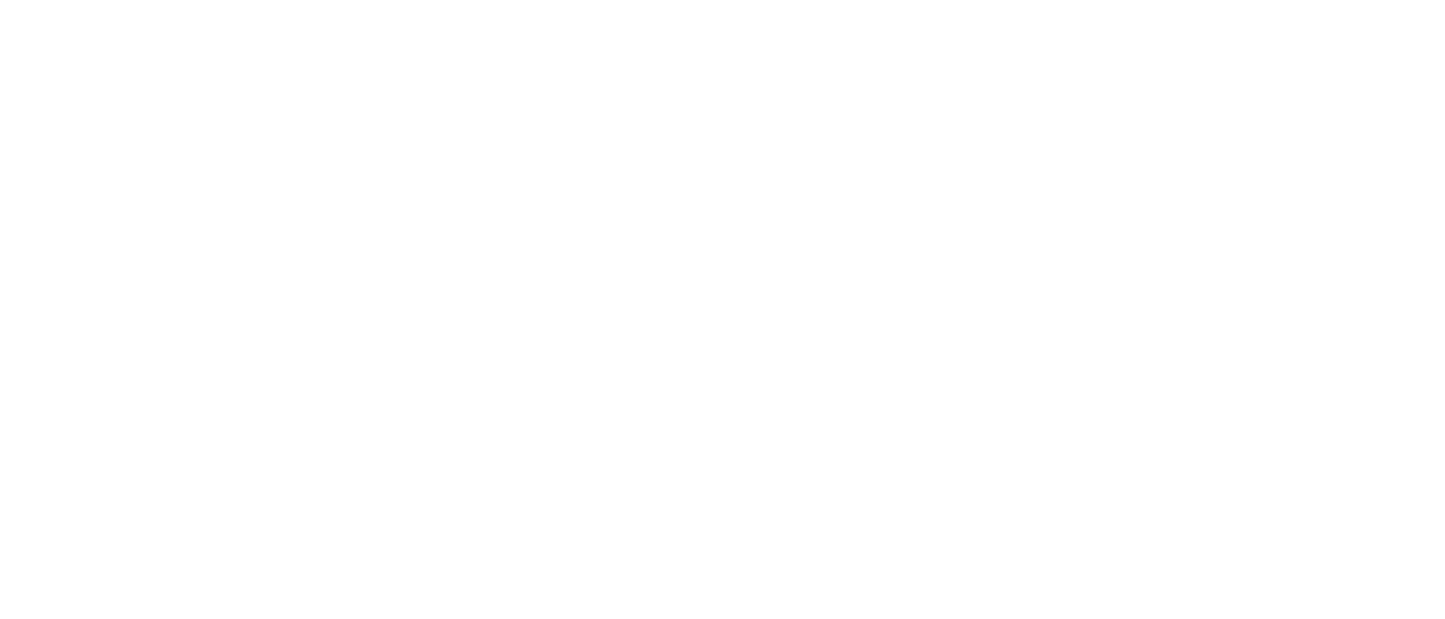 Leatherback Beach Villa logo